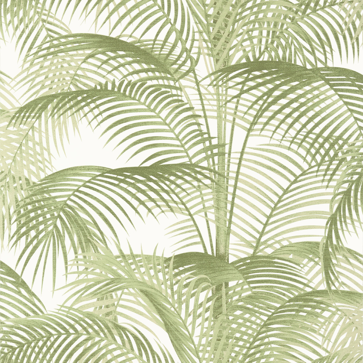 Delray Wallpaper by Thibaut in Sage (T13939)