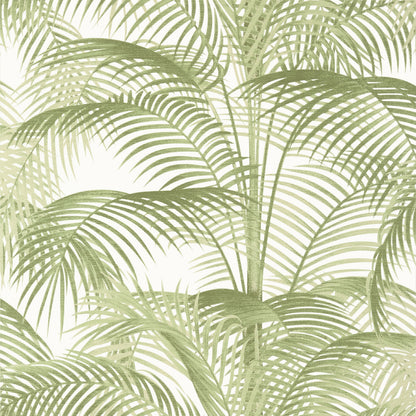 Delray Wallpaper by Thibaut in Sage (T13939)