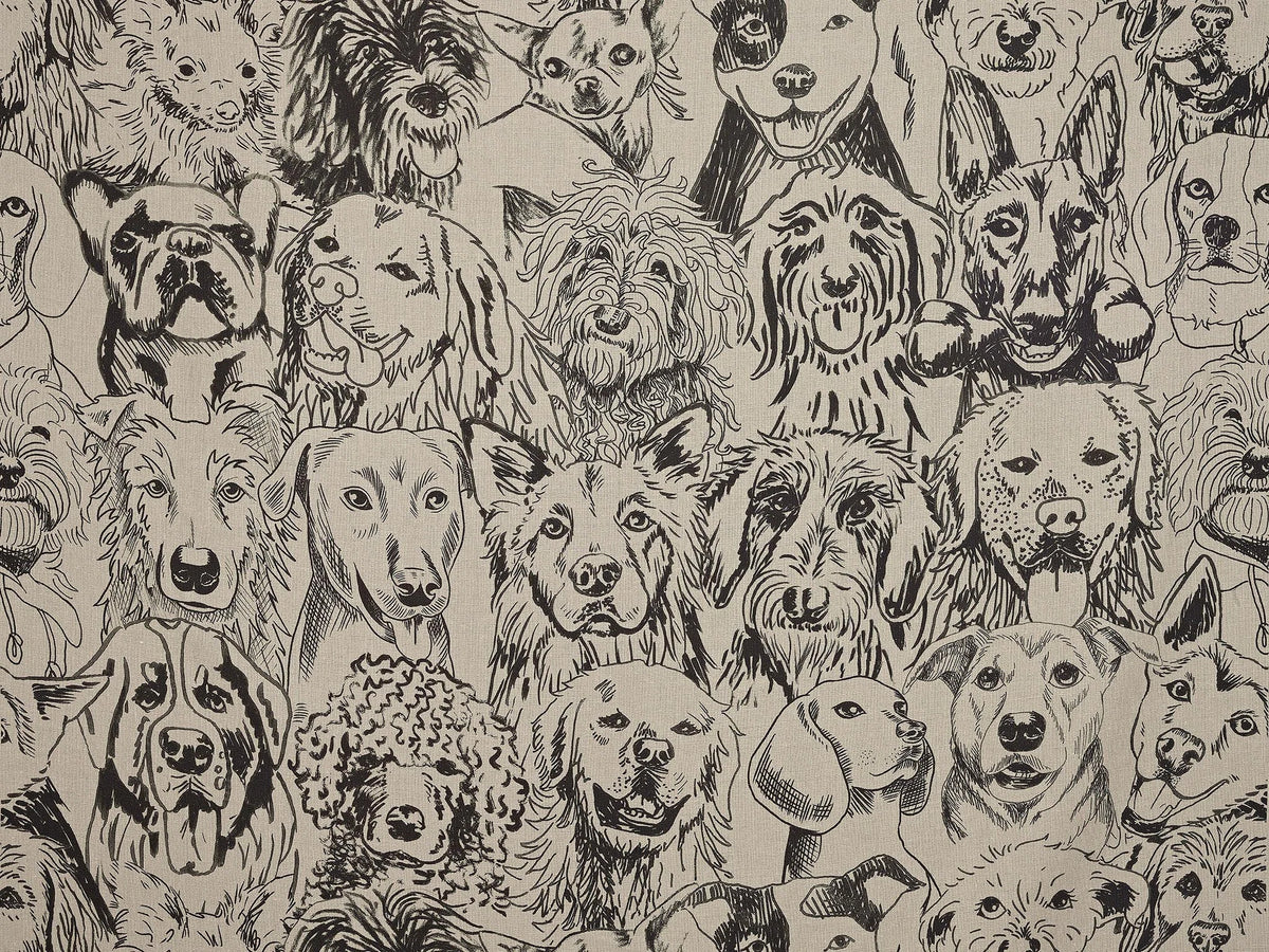 Designer Dogs Fabric by Pierre Frey in Fusain (F3552001)