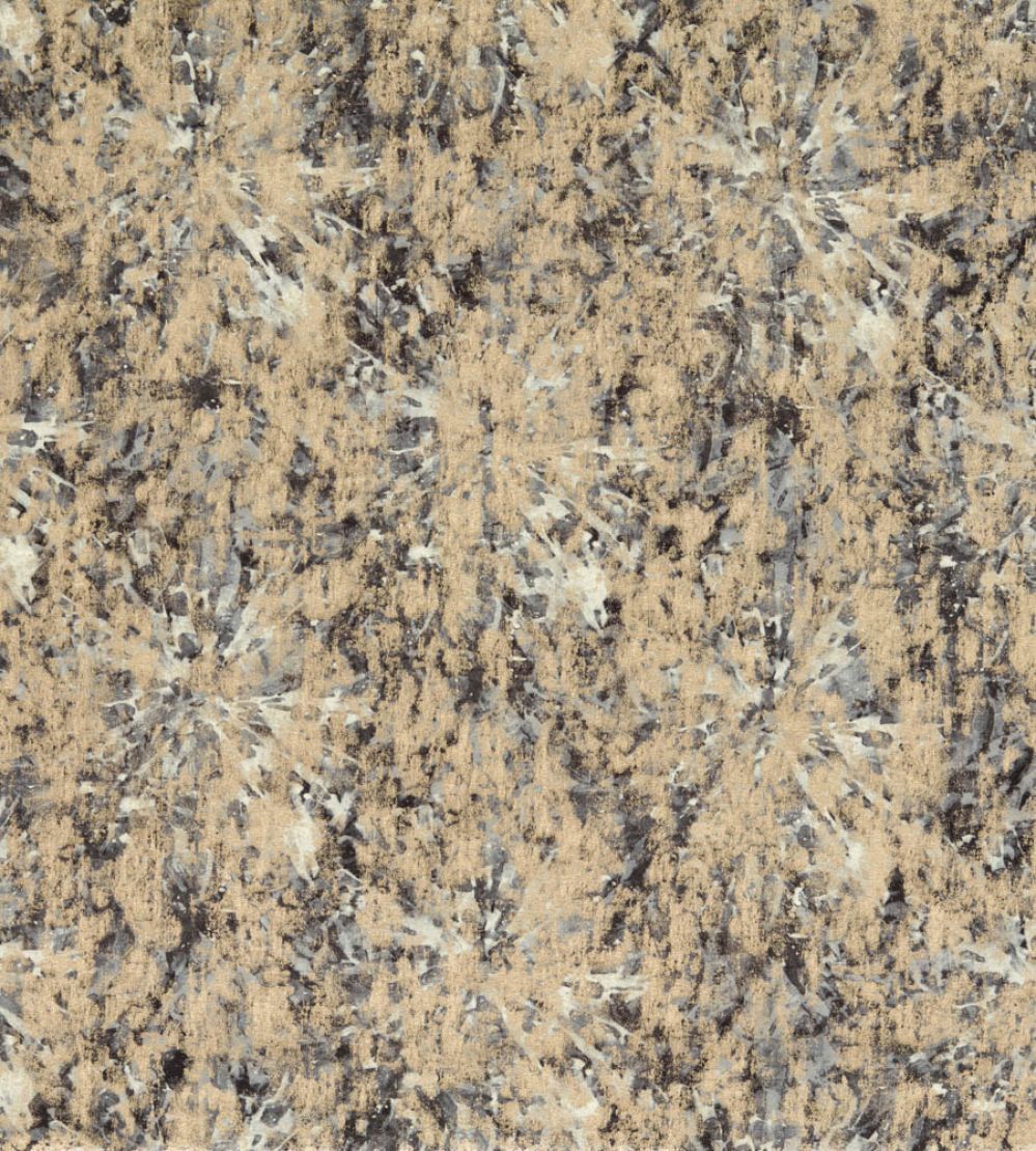 Dipinto Fabric by Clarke & Clarke Charcoal