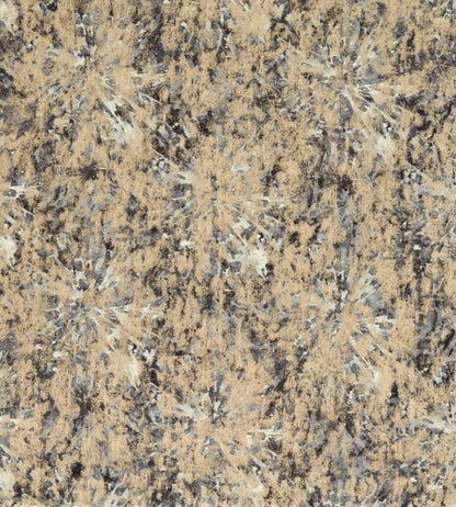 Dipinto Fabric by Clarke & Clarke Charcoal