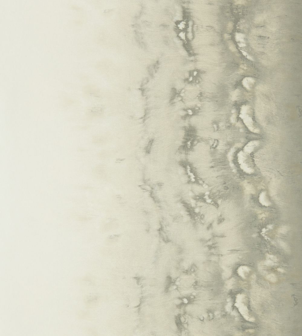 Disperse Wallpaper by Clarke & Clarke Pearl