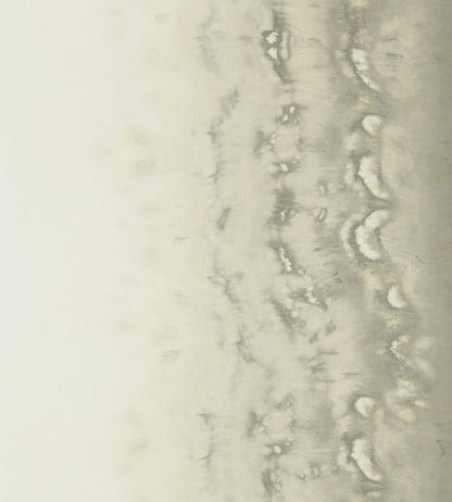 Disperse Wallpaper by Clarke & Clarke Pearl
