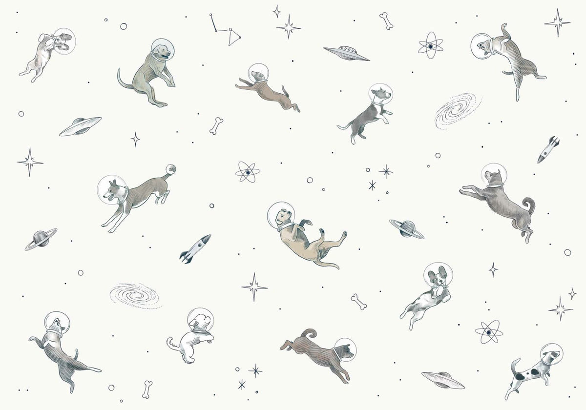 Doggy Gravity mural by Coordonné in Light, flat pattern view