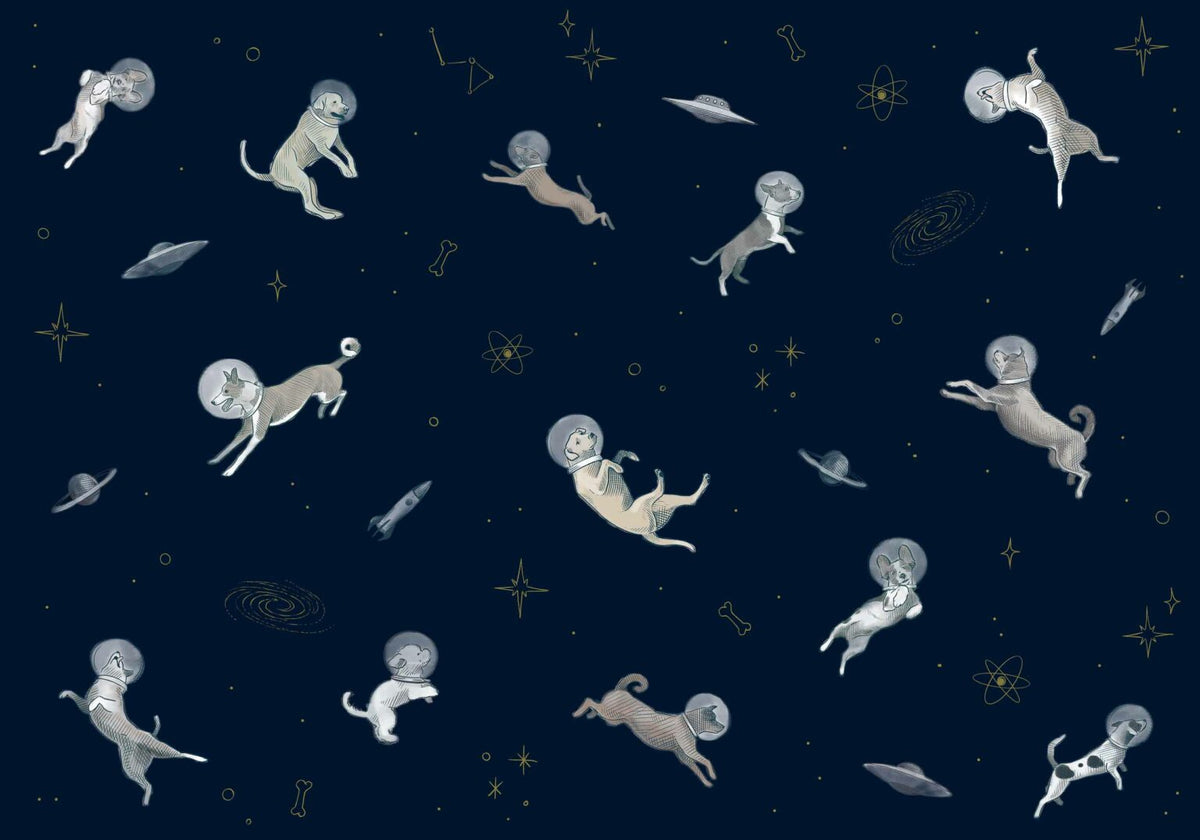 Doggy Gravity mural by Coordonné in Night, flat pattern view