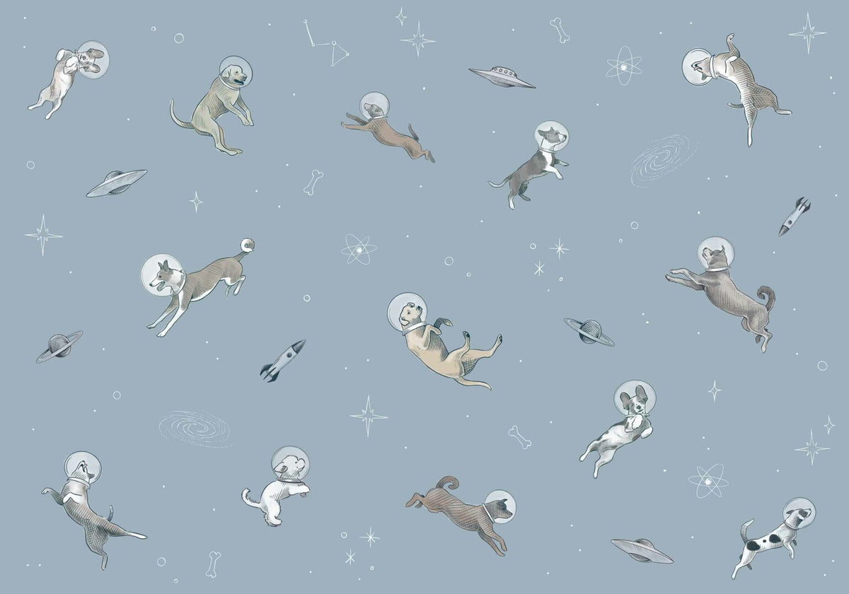 Doggy Gravity mural by Coordonné in Sky, flat pattern view