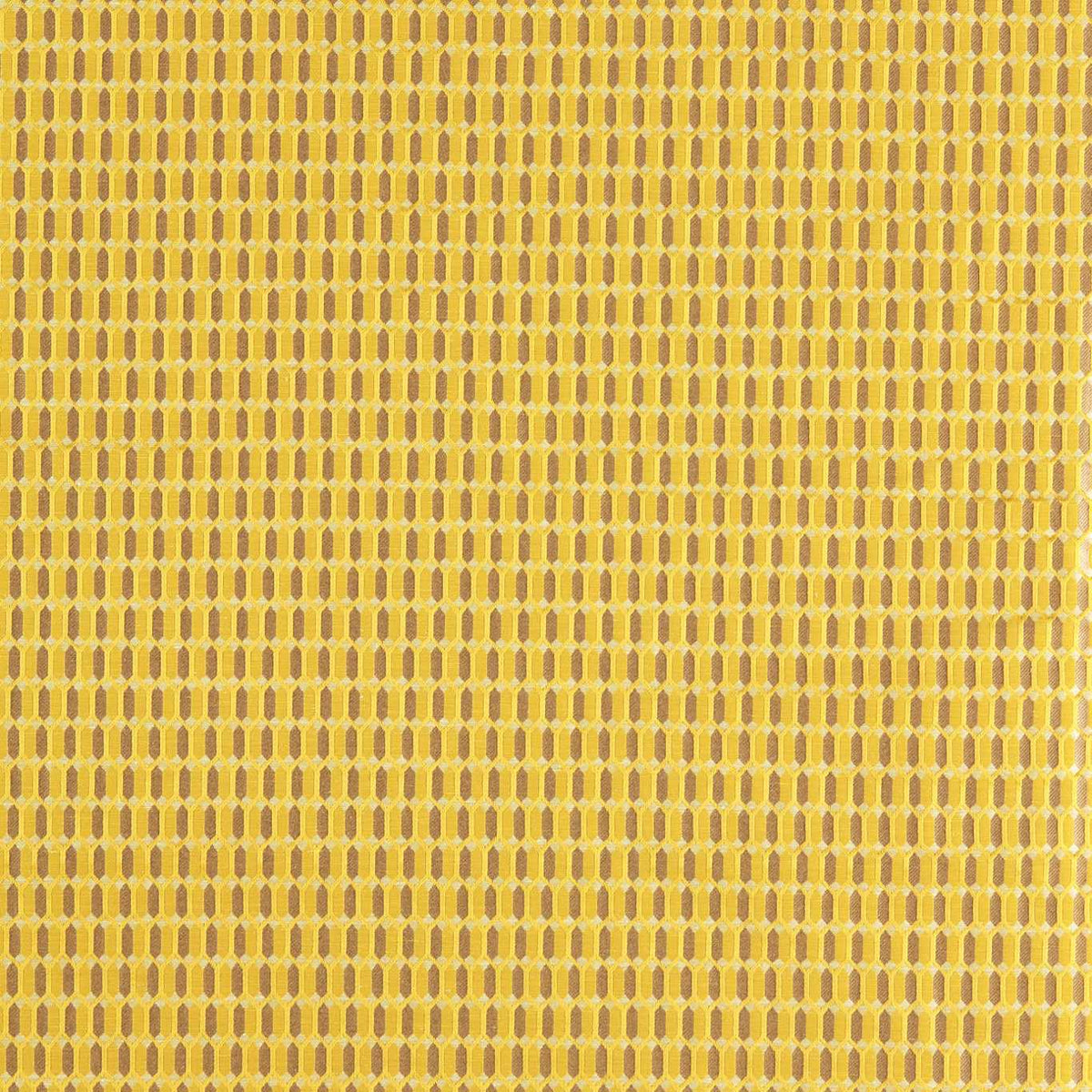 Domino Trellis Tigers eye fabric by Zoffany