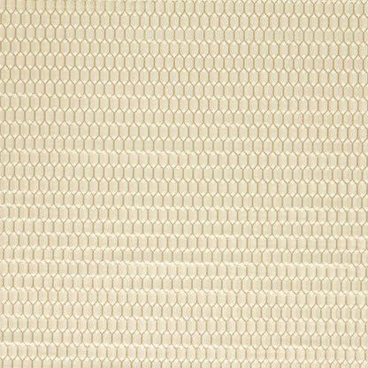 Domino Trellis Paris Grey fabric by Zoffany