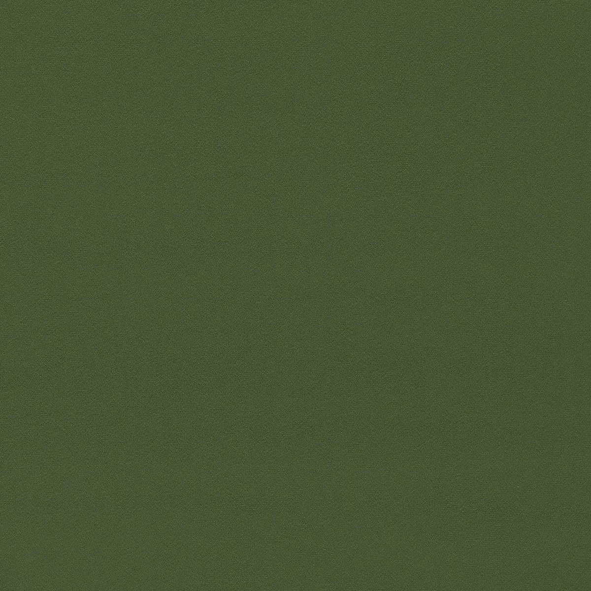 Dorton Cactus fabric by Sanderson