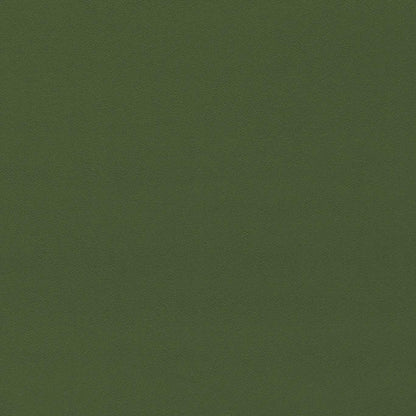 Dorton Cactus fabric by Sanderson