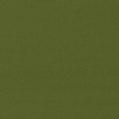 Dorton Chive fabric by Sanderson