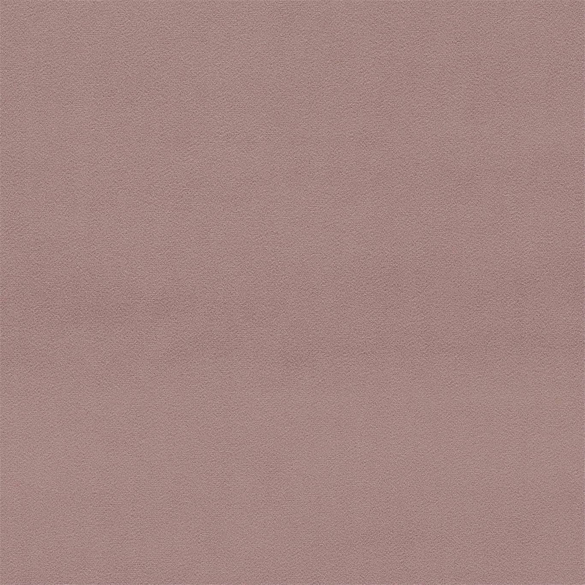 Dorton Blush fabric by Sanderson