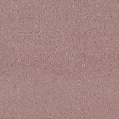 Dorton Blush fabric by Sanderson