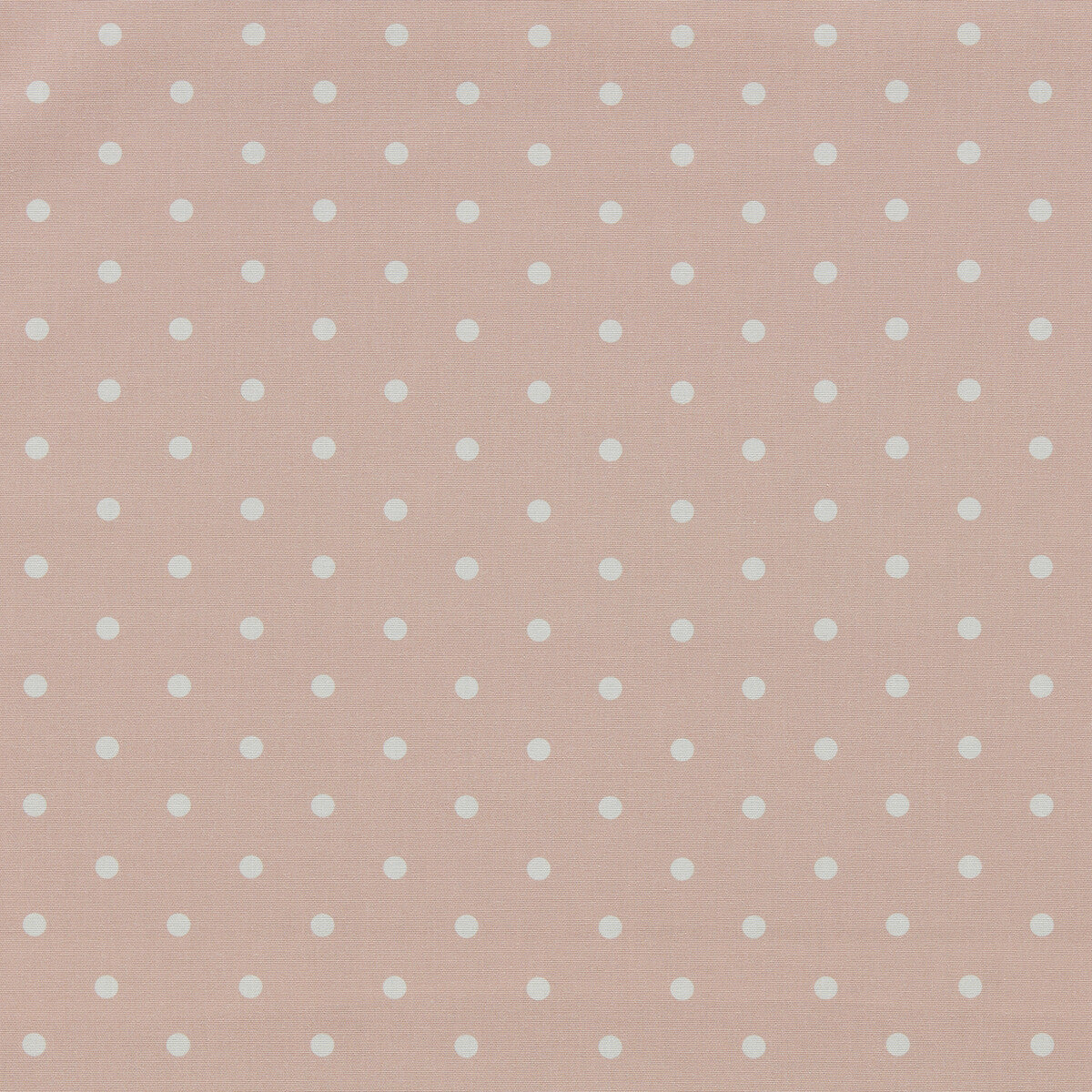 Dotty Blush fabric by Clarke & Clarke