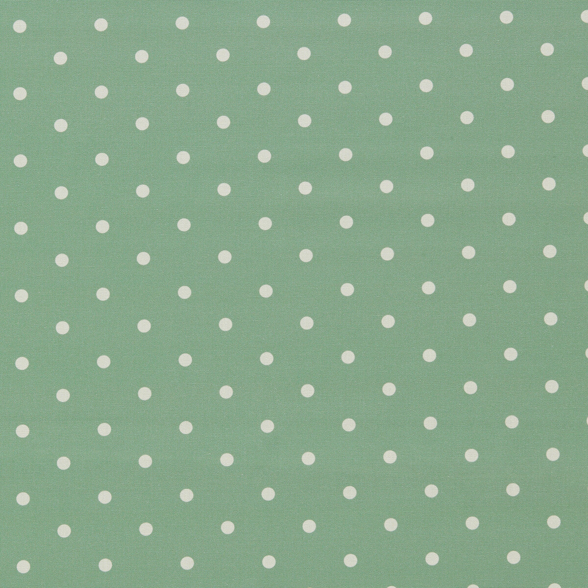 Dotty Jade fabric by Clarke & Clarke