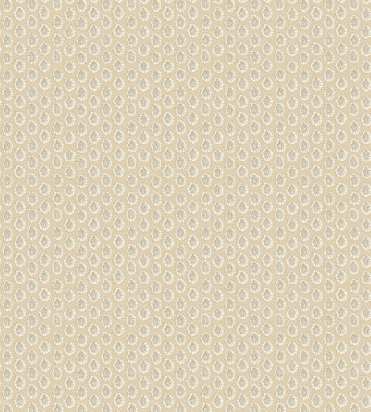 Dotty Wallpaper by GP & J Baker Parchment