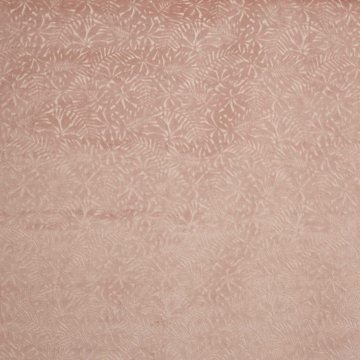 Dulcinea fabric by Coordonné in Cava, flat pattern view