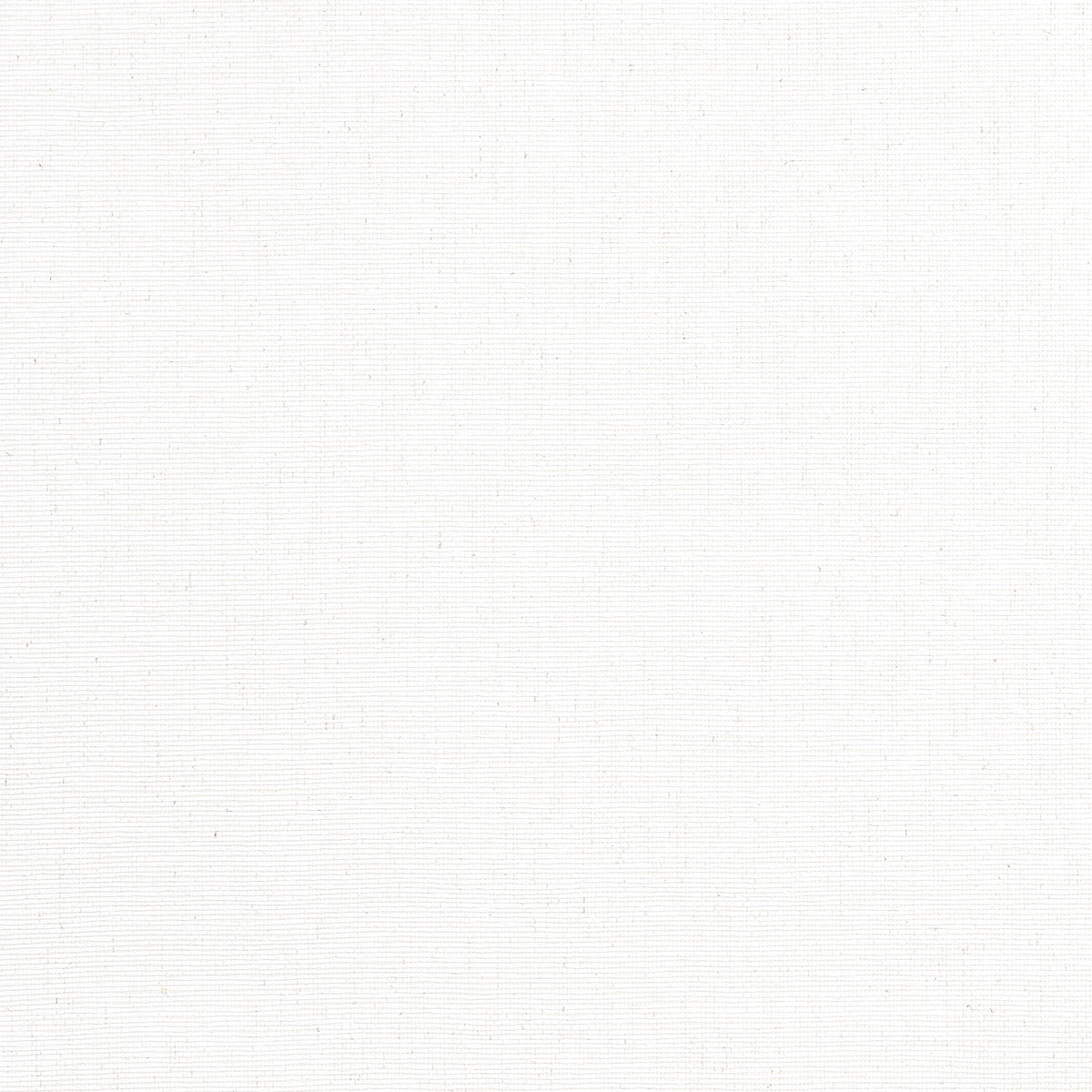 Edward's Paper Wallpaper by Thibaut in White (T19693)
