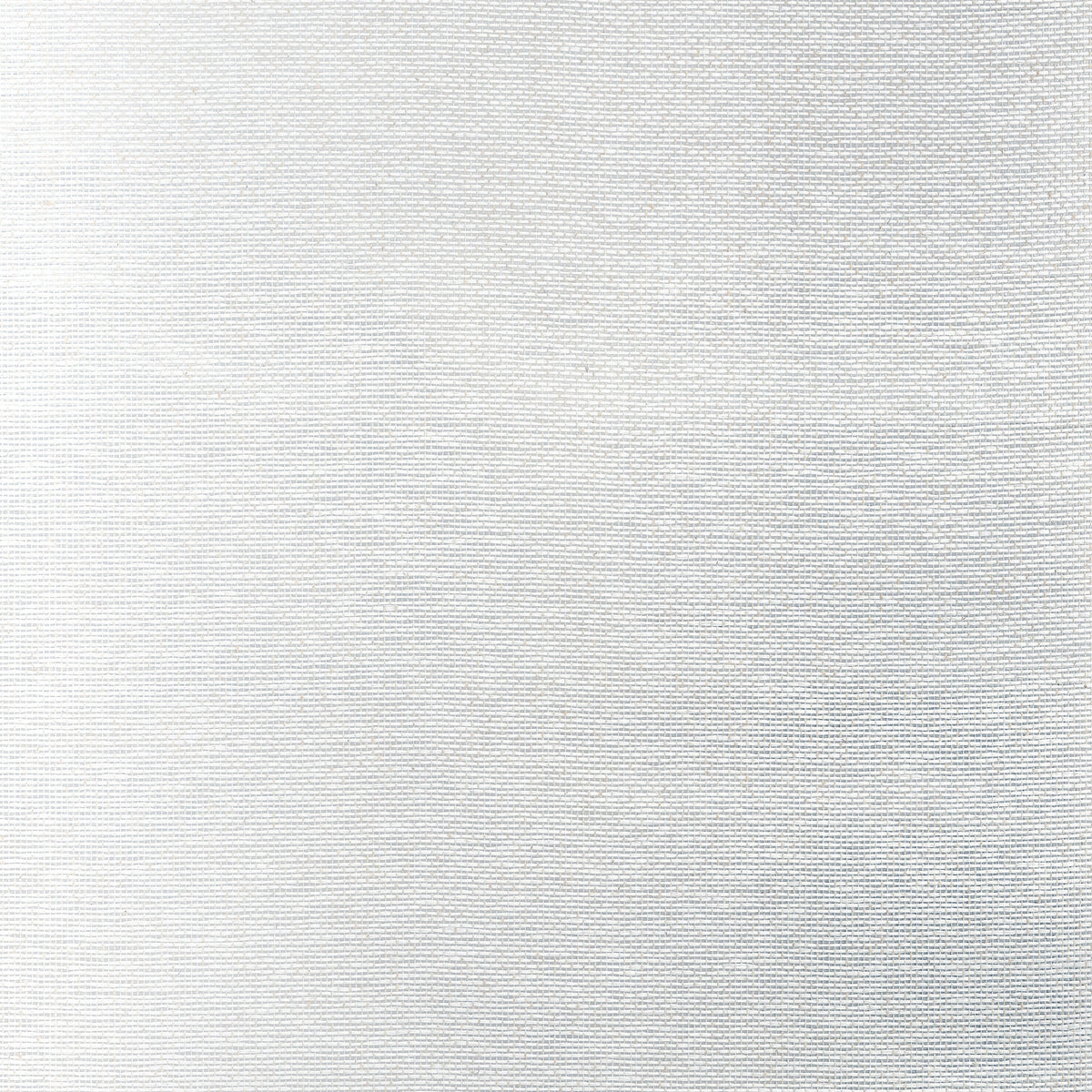 Edward's Paper Wallpaper by Thibaut in Metallic Silver (T19698)
