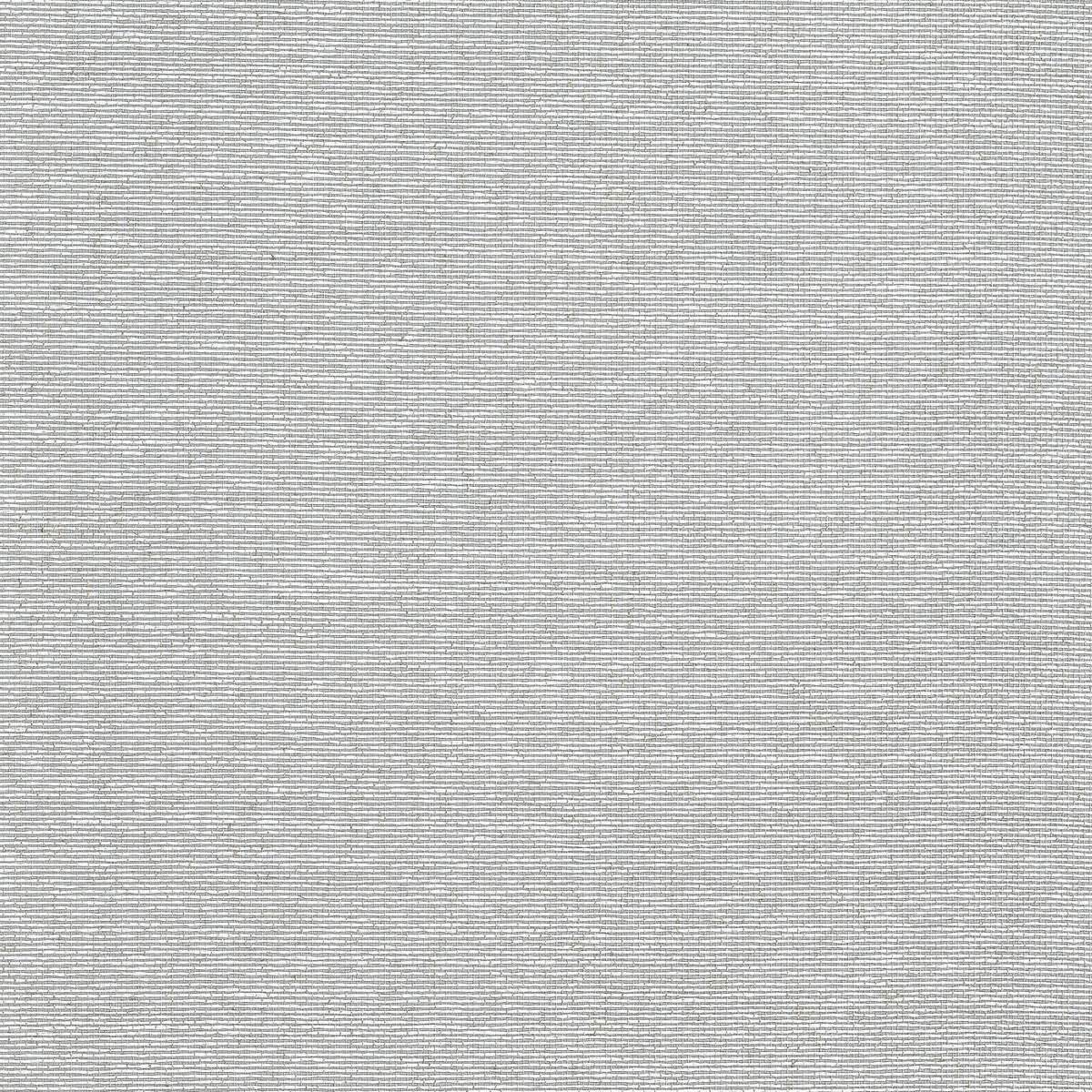 Edward's Paper Wallpaper by Thibaut in Grey (T19701)