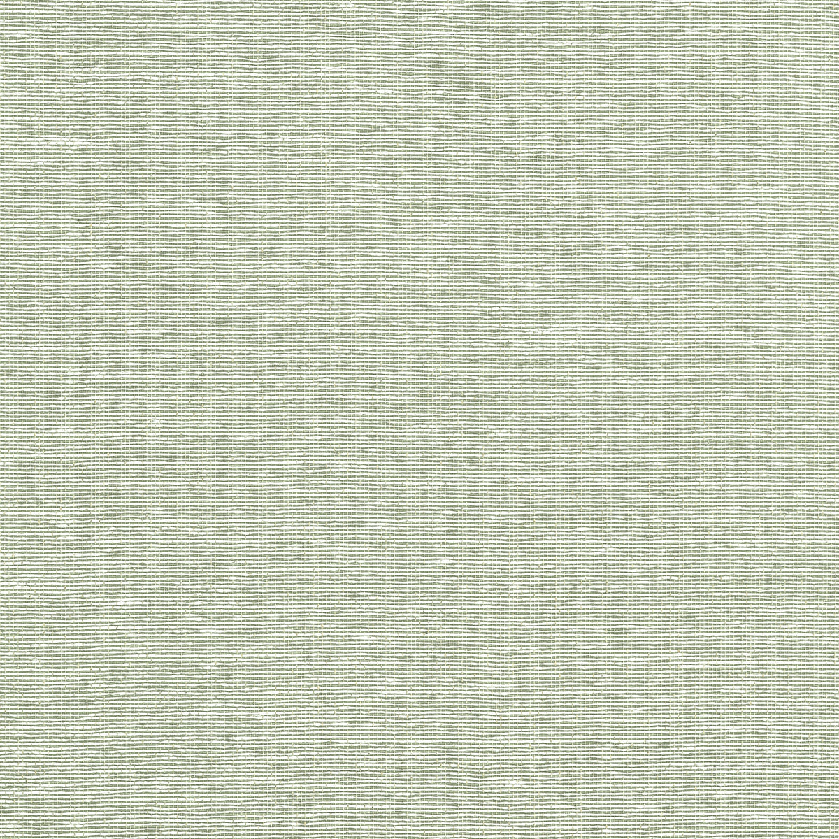 Edward's Paper Wallpaper by Thibaut in Green (T19703)
