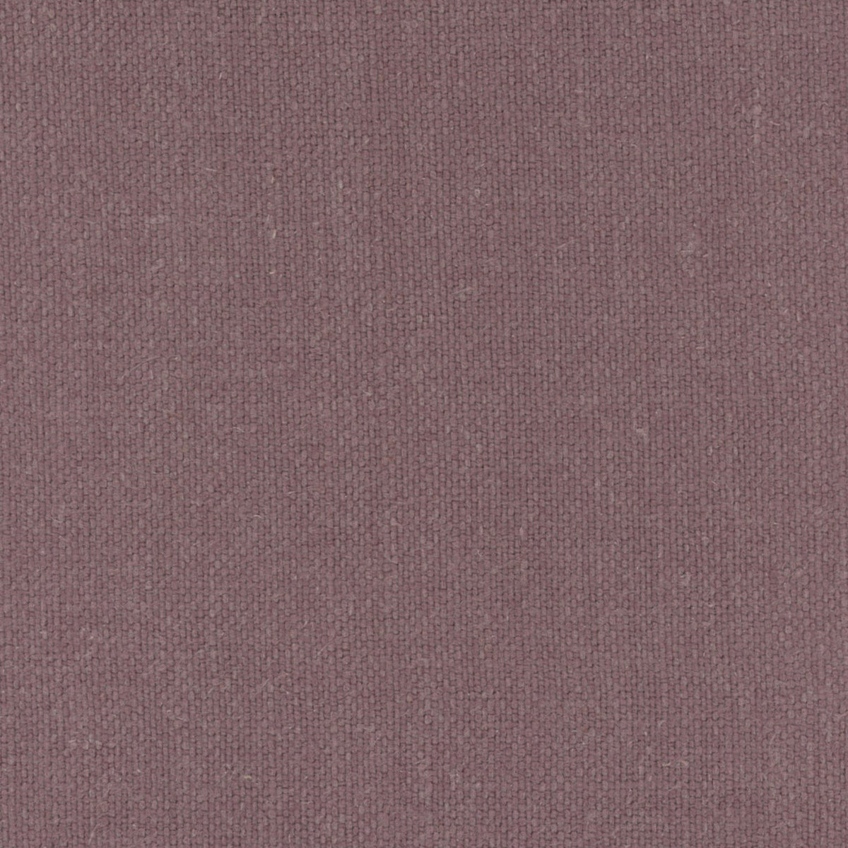 El Mercader fabric by Coordonné in Aubergine, flat pattern view