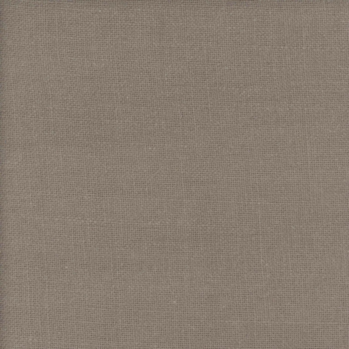 El Mercader fabric by Coordonné in Mole, flat pattern view