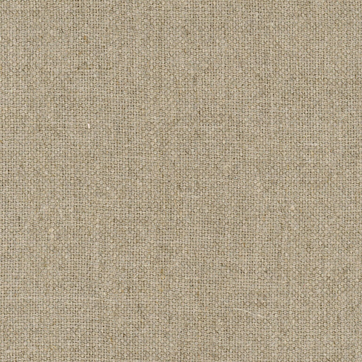 El Mercader fabric by Coordonné in Nature, flat pattern view
