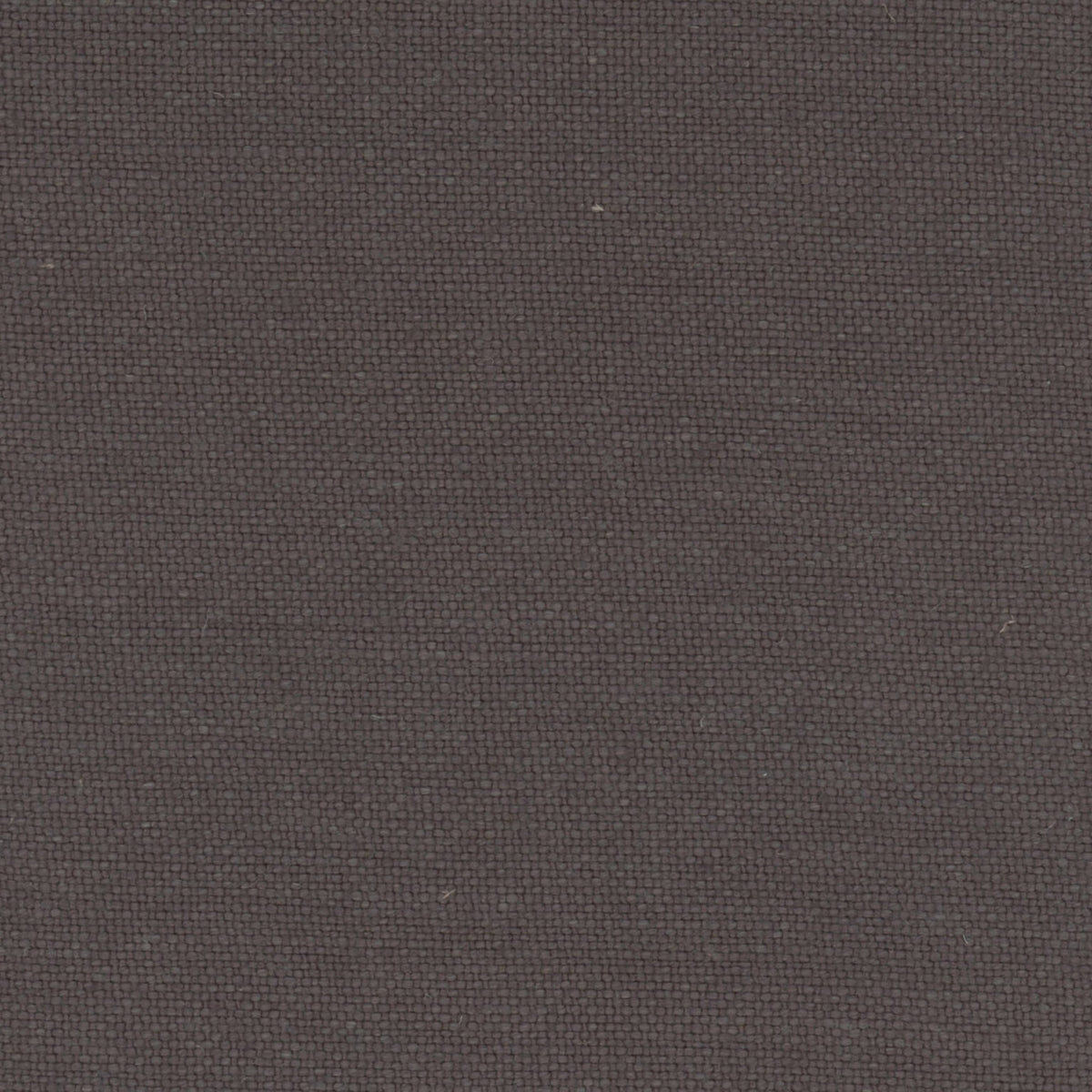 El Mercader fabric by Coordonné in Night, flat pattern view