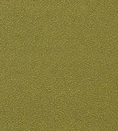 Elio Fabric by Harlequin Grass