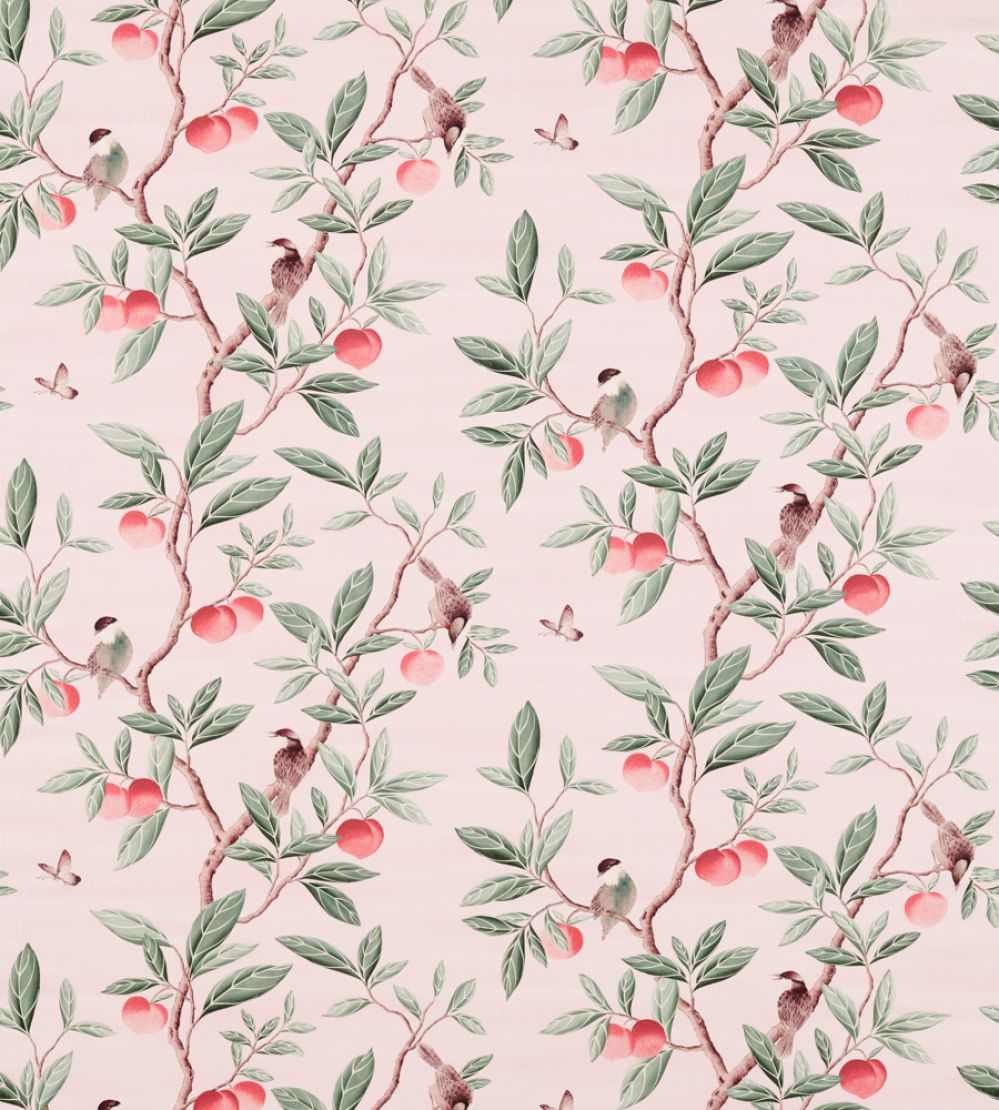 Ella Fabric by Harlequin Powder / Sage / Peach