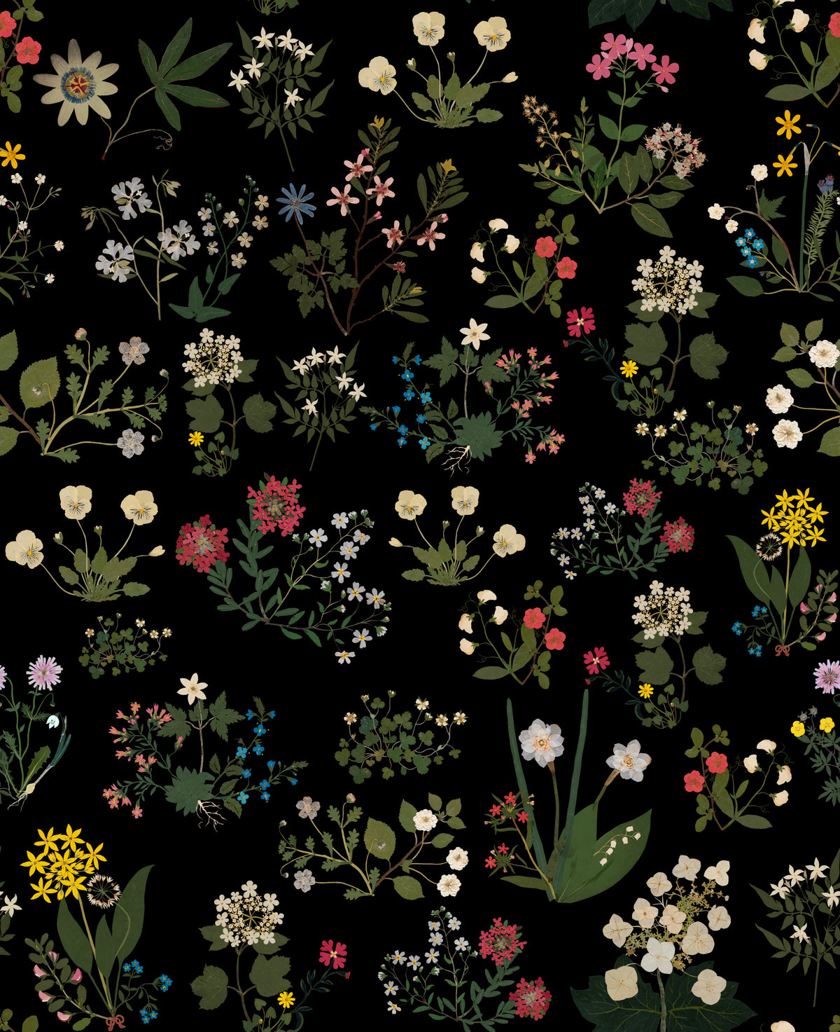 Ellen Black mural by Bien Fait