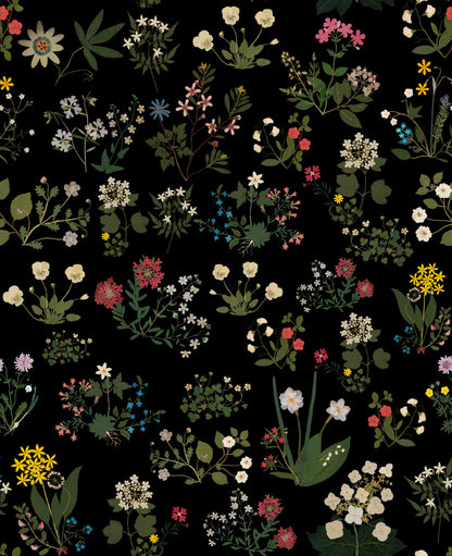 Ellen Black mural by Bien Fait