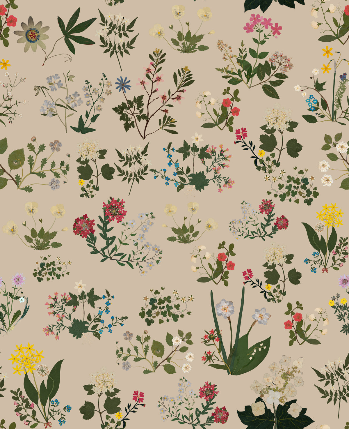 Ellen Beige mural by Bien Fait