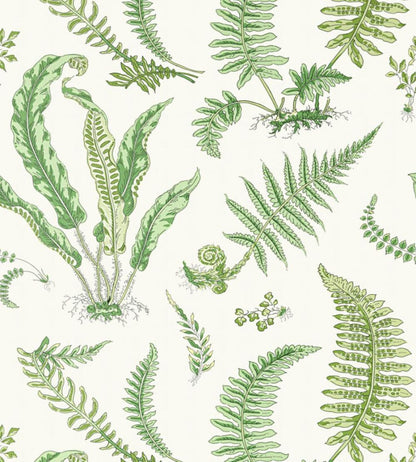 Elsie De Wolfe Wallpaper by Scalamandre Fern