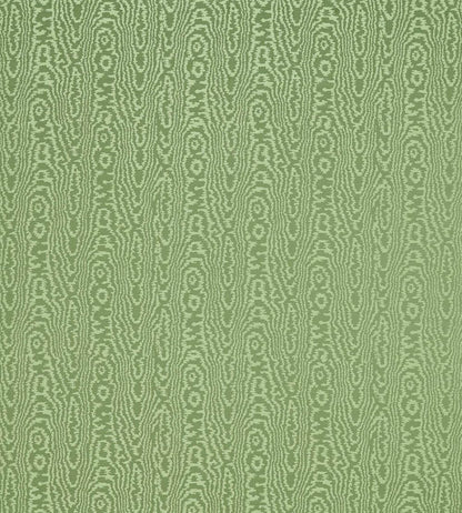 Elsworthy Fabric by Harlequin Matcha