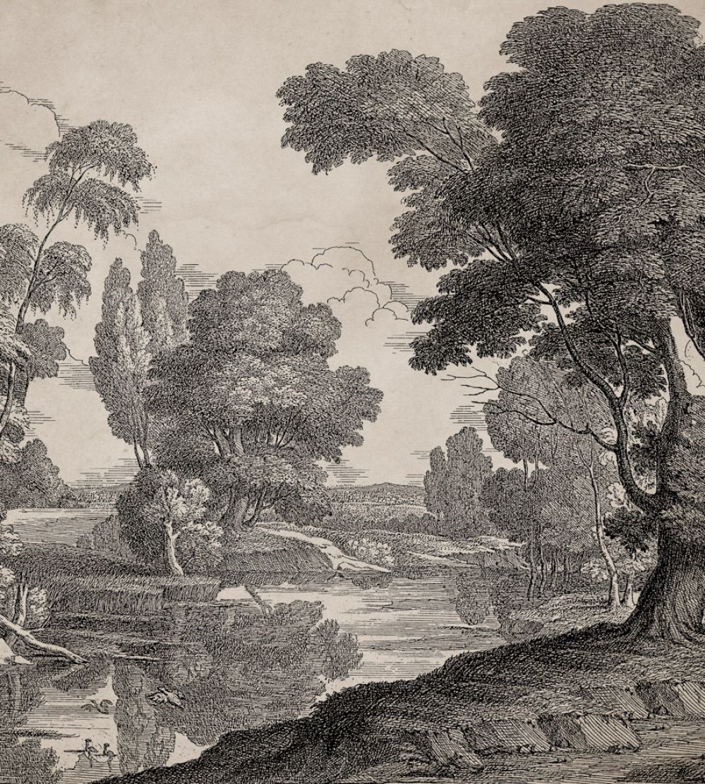 Engraving Mural by Coordonne Ink