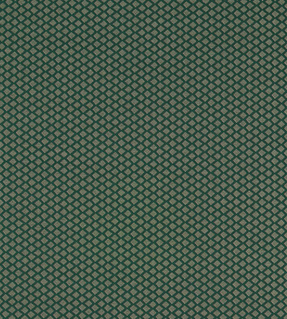 Equator Fabric by Clarke & Clarke Forest
