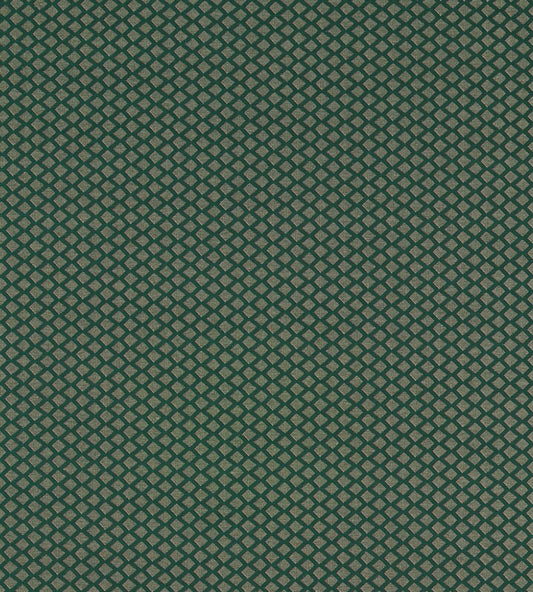 Equator Fabric by Clarke & Clarke Forest