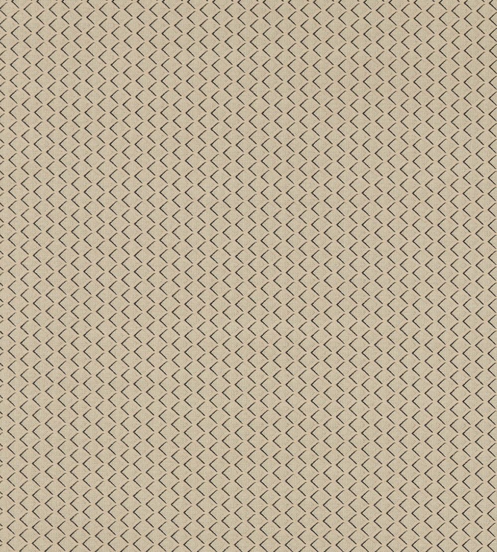 Equator Fabric by Clarke & Clarke Natural