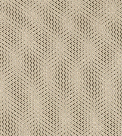 Equator Fabric by Clarke & Clarke Natural