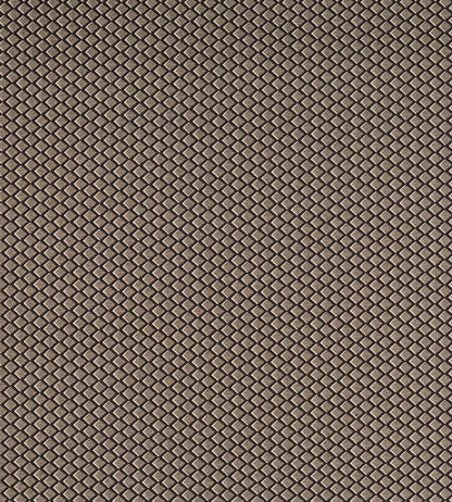 Equator Fabric by Clarke & Clarke Noir
