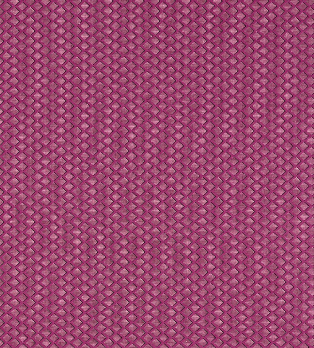 Equator Fabric by Clarke & Clarke Raspberry