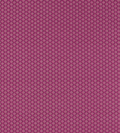 Equator Fabric by Clarke & Clarke Raspberry