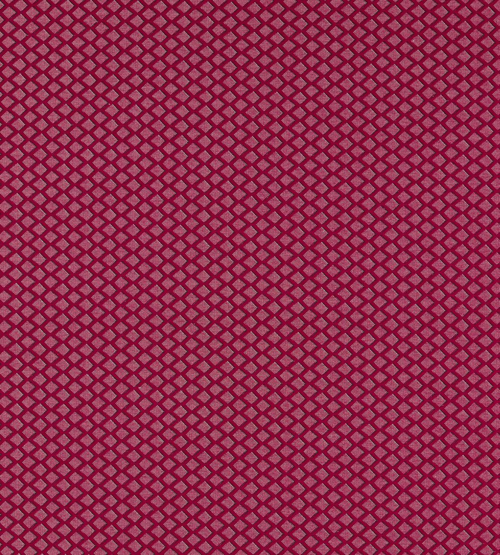 Equator Fabric by Clarke & Clarke Ruby