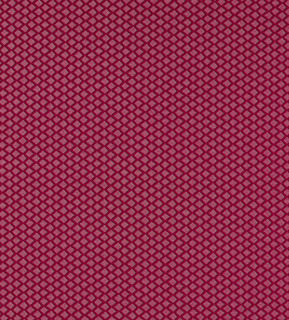 Equator Fabric by Clarke & Clarke Ruby
