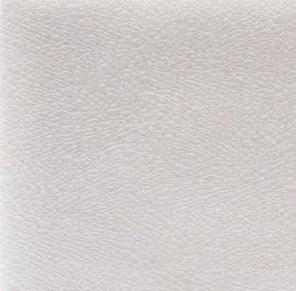 Esi Wallpaper by Pierre Frey in Nacre (FP038001)