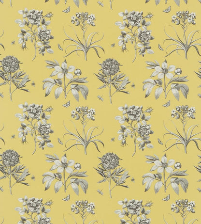 Etchings & Roses Fabric by Sanderson Empire Yellow