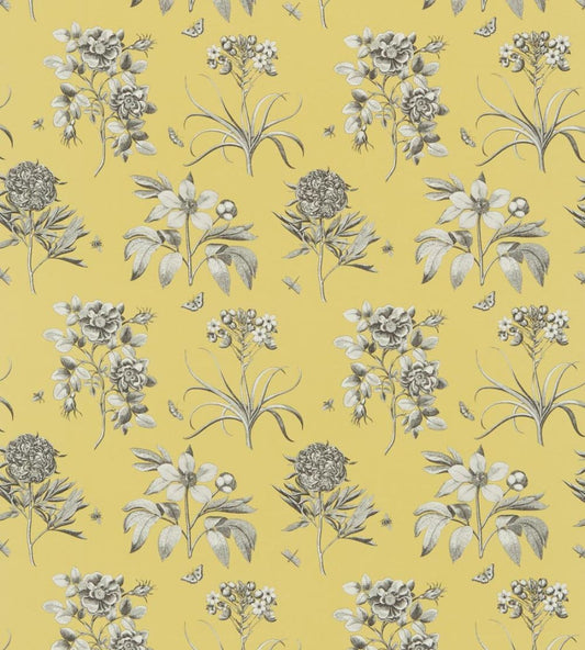 Etchings & Roses Fabric by Sanderson Empire Yellow