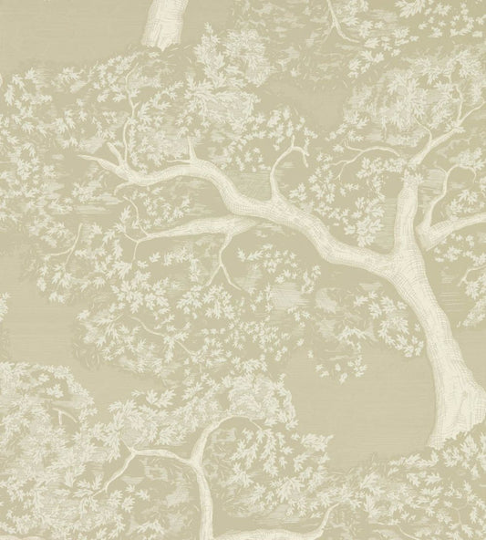 Eternal Oak Wallpaper by Harlequin Incense / Pearl